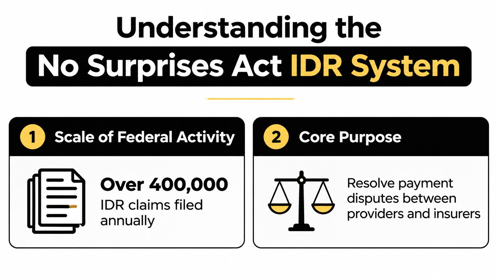 An infographic titled Understanding the No Surprises Act IDR System, highlighting scale and core purpose.